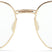 Shwood Benton Gold & Walnut