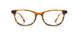 Shwood Casey Autumn & Elm Burl