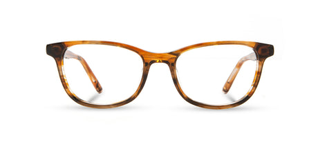 Shwood Casey Autumn & Elm Burl