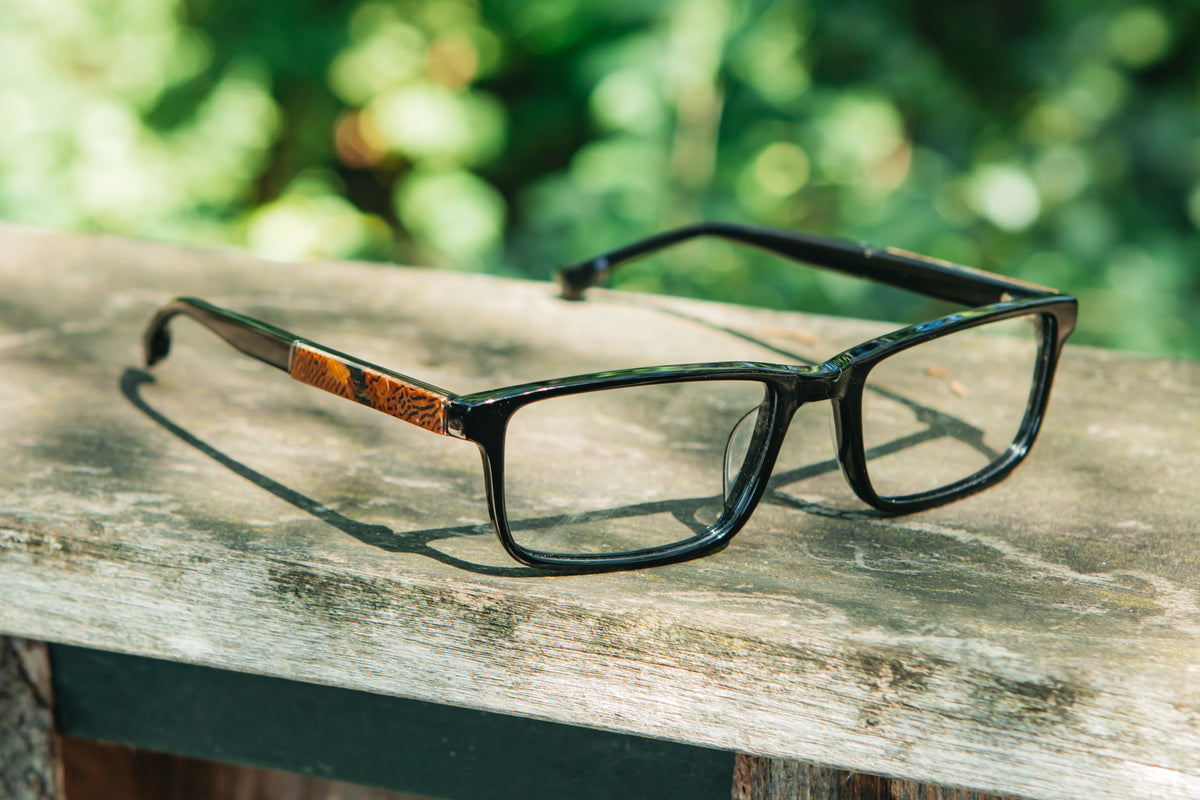 Shwood Fremont Black  & Mushroom