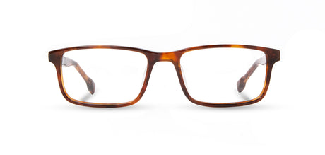 Shwood Fremont Tobacco & Mahogany
