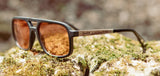 Shwood CAMP Glacier Smokey Bear Matte Black // Smokey Bear