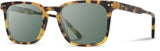 Shwood Hamilton Havana