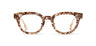 Shwood Morgan Stabilized Champagne Flower