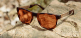 Shwood CAMP Trail Smokey Bear Matte Tortoise // Smokey Bear