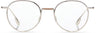 Shwood Winston Silver & Tortoise